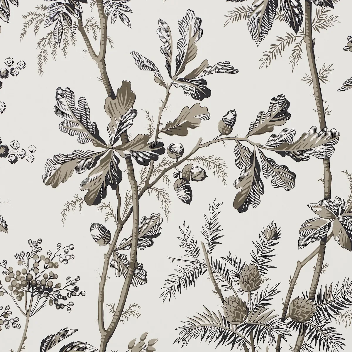 BRANTWOOD VINE GRAPHITE Schumacher Wallpaper wallpaper - SKU 5016352
