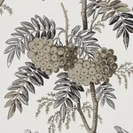 BRANTWOOD VINE GRAPHITE Schumacher Wallpaper wallpaper - SKU 5016352