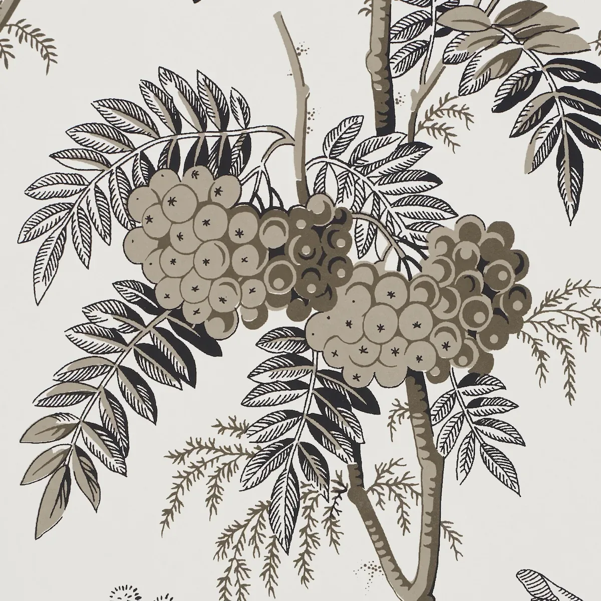 BRANTWOOD VINE GRAPHITE Schumacher Wallpaper wallpaper - SKU 5016352