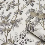 BRANTWOOD VINE GRAPHITE Schumacher Wallpaper wallpaper - SKU 5016352
