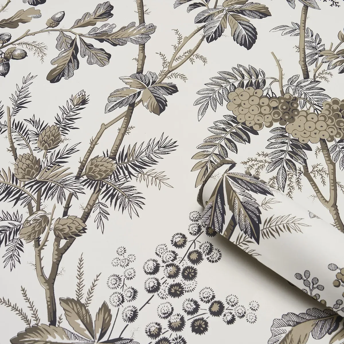 BRANTWOOD VINE GRAPHITE Schumacher Wallpaper wallpaper - SKU 5016352