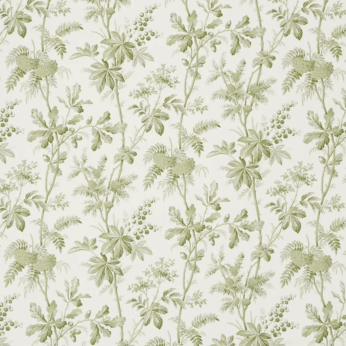 BRANTWOOD VINE LEAF Schumacher Wallpaper wallpaper - SKU 5016350