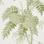 BRANTWOOD VINE LEAF Schumacher Wallpaper wallpaper - SKU 5016350