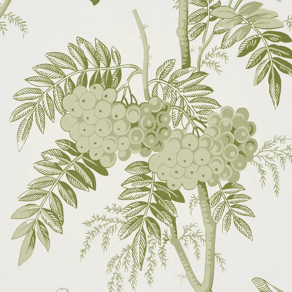 BRANTWOOD VINE LEAF Schumacher Wallpaper wallpaper - SKU 5016350