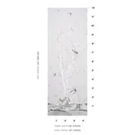 BRIGHTON PAVILION PANEL BLACK & WHITE Schumacher Wallpaper wallpaper - SKU 5007742