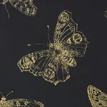BURNELL BUTTERFLY BLACK Schumacher Wallpaper wallpaper - SKU 5011742