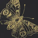 BURNELL BUTTERFLY BLACK Schumacher Wallpaper wallpaper - SKU 5011742