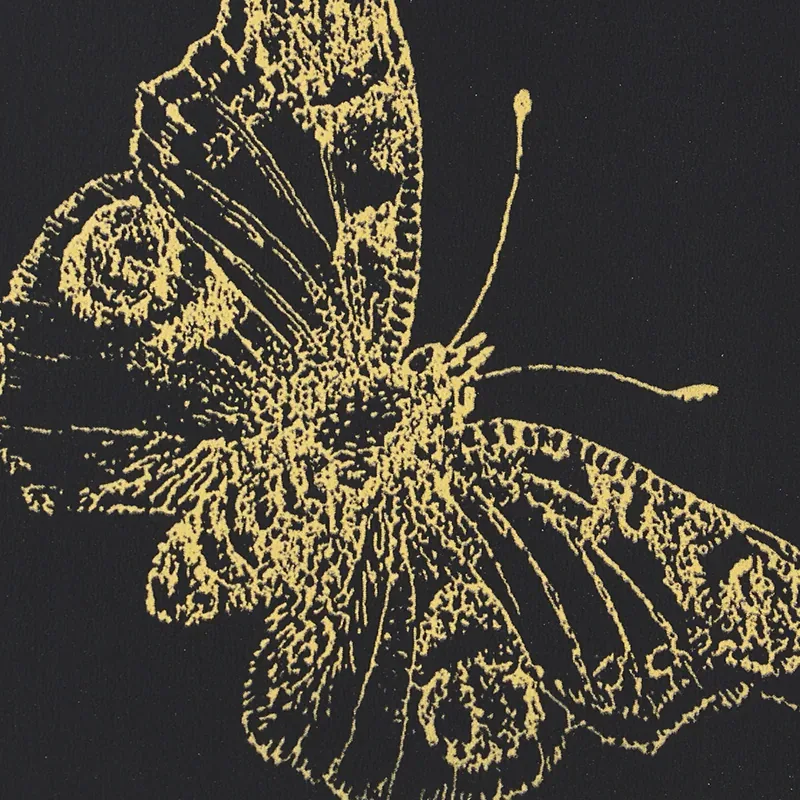 BURNELL BUTTERFLY BLACK Schumacher Wallpaper wallpaper - SKU 5011742