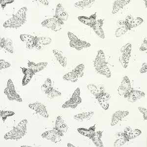Schumacher BURNELL BUTTERFLY wallpaper
