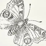 BURNELL BUTTERFLY IVORY Schumacher Wallpaper wallpaper - SKU 5011740
