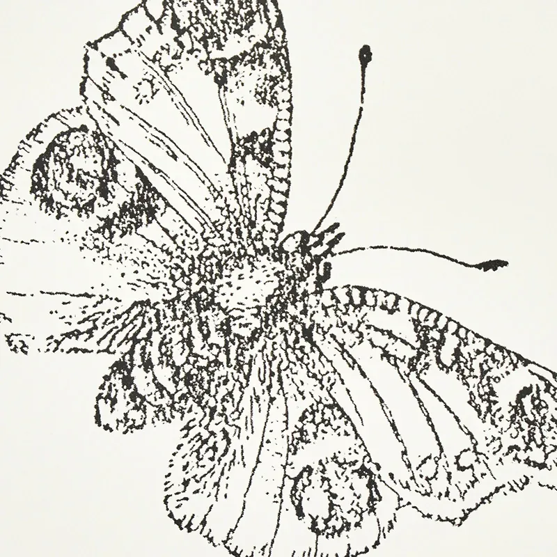 BURNELL BUTTERFLY IVORY Schumacher Wallpaper wallpaper - SKU 5011740