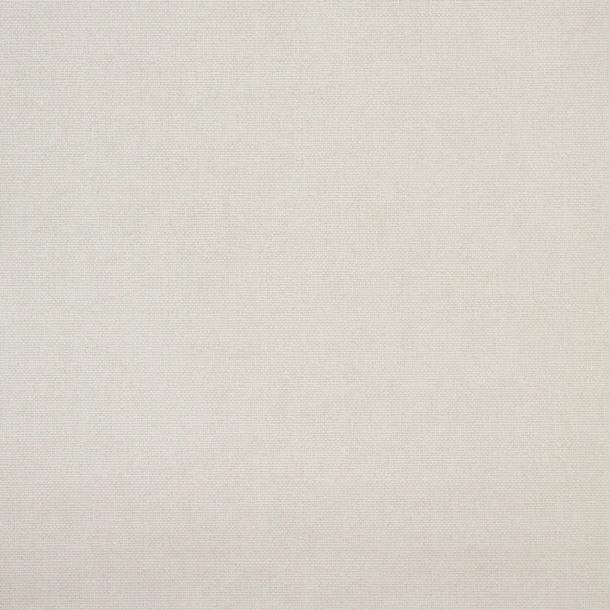 BUSONI JASPER Schumacher Wallpaper wallpaper - SKU 5010023