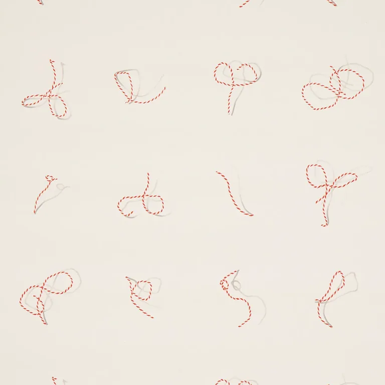 Schumacher BUTCHER STRING wallpaper
