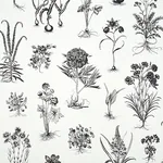 CABOT BOTANICAL LARGE IVORY Schumacher Wallpaper wallpaper - SKU 5010640