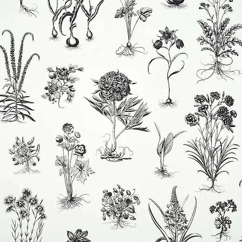 CABOT BOTANICAL LARGE IVORY Schumacher Wallpaper wallpaper - SKU 5010640