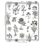 CABOT BOTANICAL LARGE IVORY Schumacher Wallpaper wallpaper - SKU 5010640