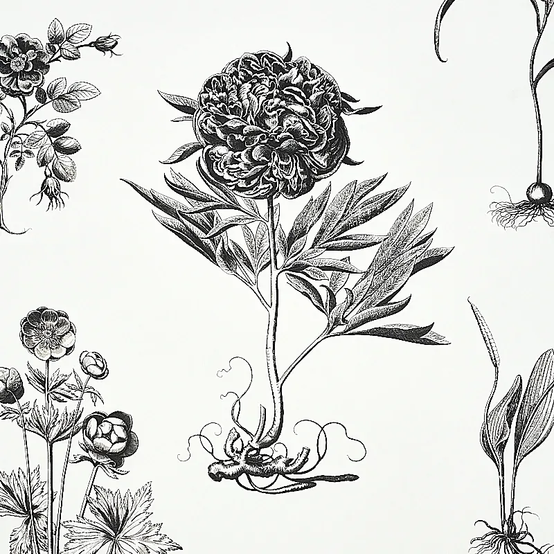 CABOT BOTANICAL LARGE IVORY Schumacher Wallpaper wallpaper - SKU 5010640