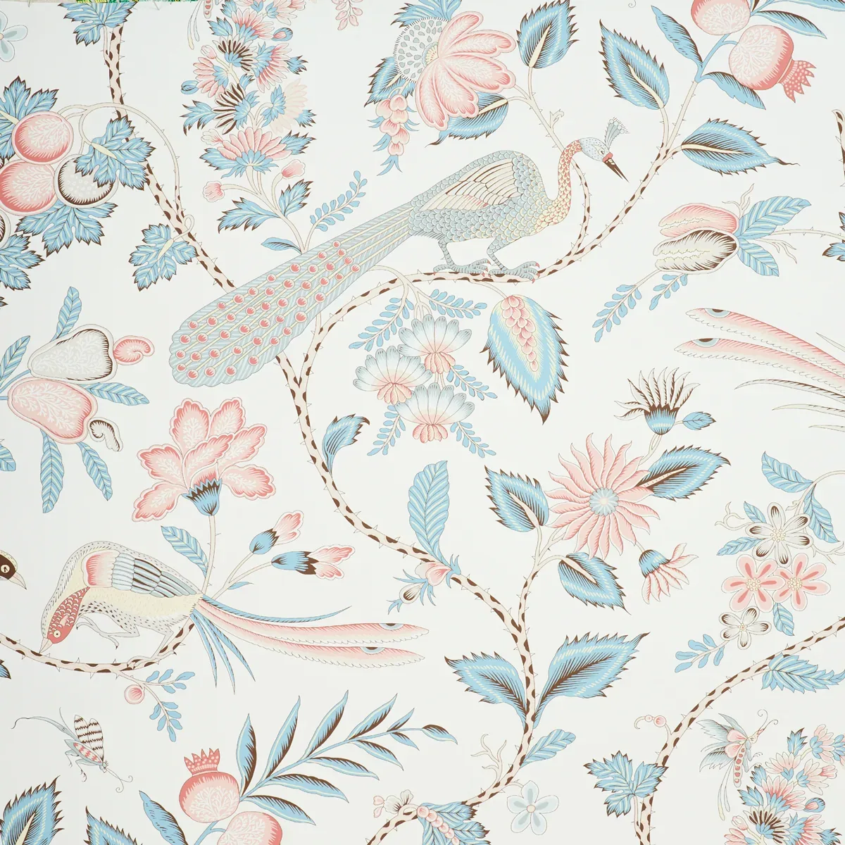 CAMPAGNE PEACOCK & ROUGE Schumacher Wallpaper wallpaper - SKU 5010512