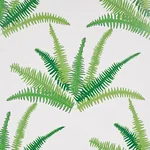 CANYON FERNS JUNGLE Schumacher Wallpaper wallpaper - SKU 5012621