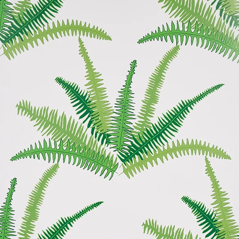 CANYON FERNS
