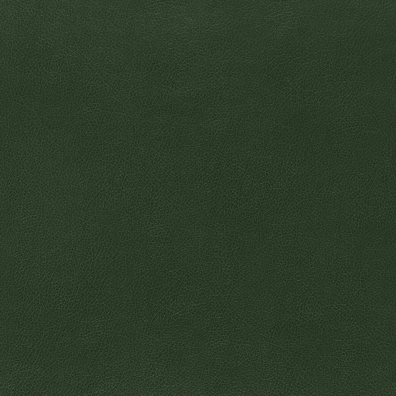 CANYON LEATHER