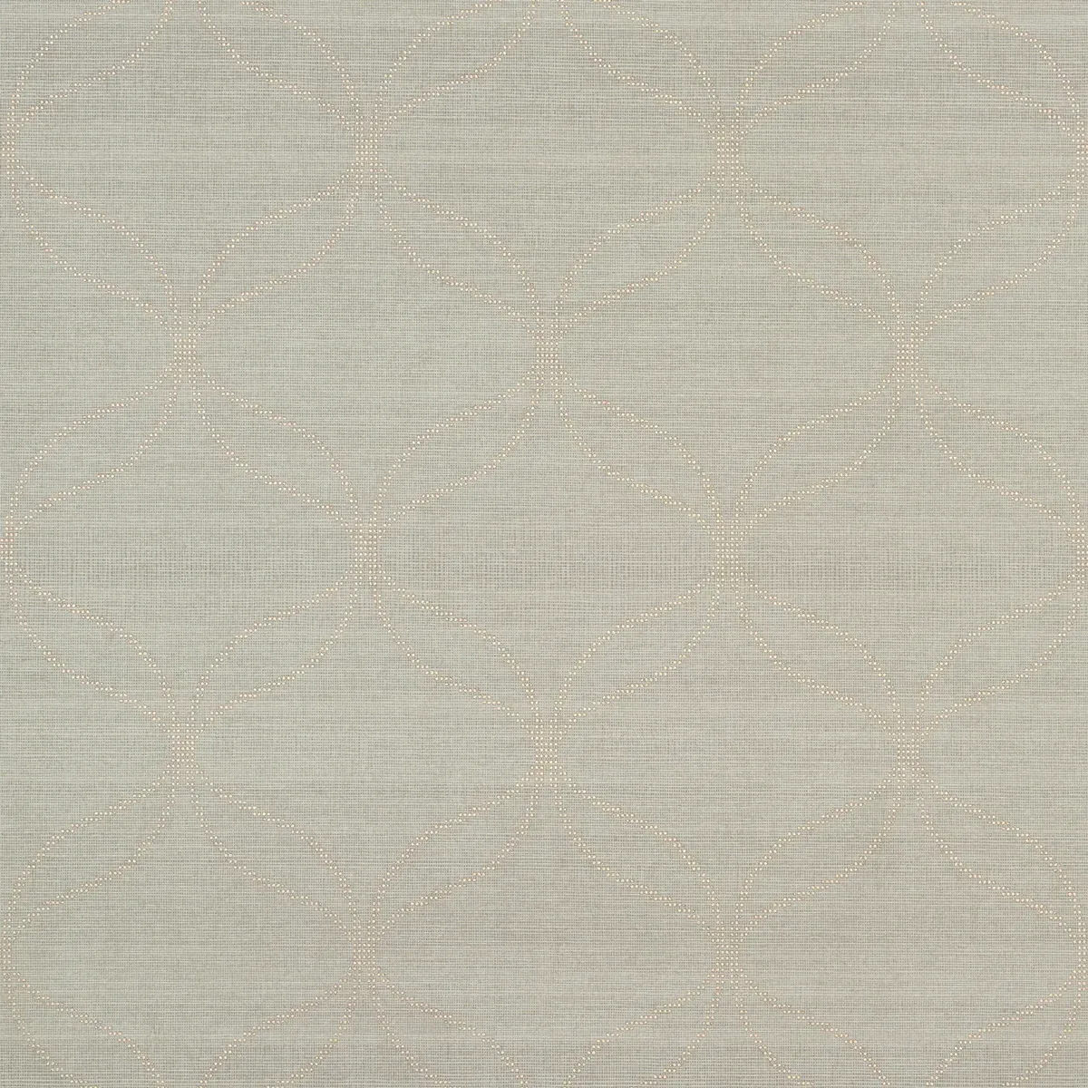 CASAVOLA