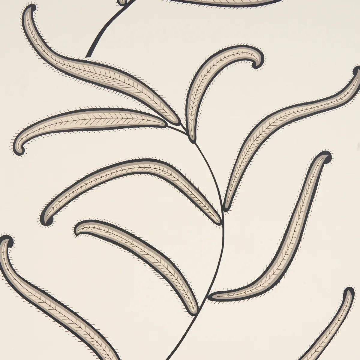 CATERPILLAR LEAF BLACK AND CREAM Schumacher Wallpaper wallpaper - SKU 5014530