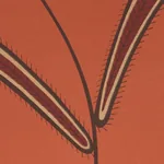 CATERPILLAR LEAF - TOMATO Schumacher Wallpaper | Wallpaper T CATERPILLAR LEAF TOMATO Schumacher Wallpaper wallpaper - SKU 5014532