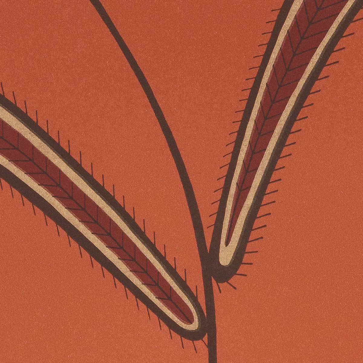 CATERPILLAR LEAF - TOMATO Schumacher Wallpaper | Wallpaper T CATERPILLAR LEAF TOMATO Schumacher Wallpaper wallpaper - SKU 5014532
