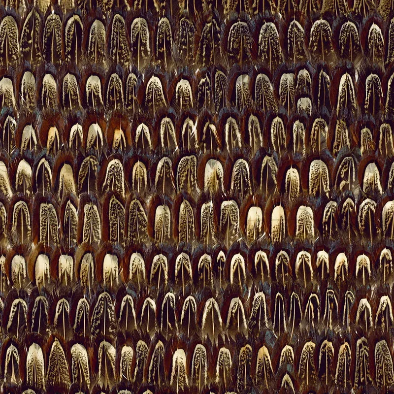 CAUMSETT SABLE Schumacher Wallpaper wallpaper - SKU 5003970