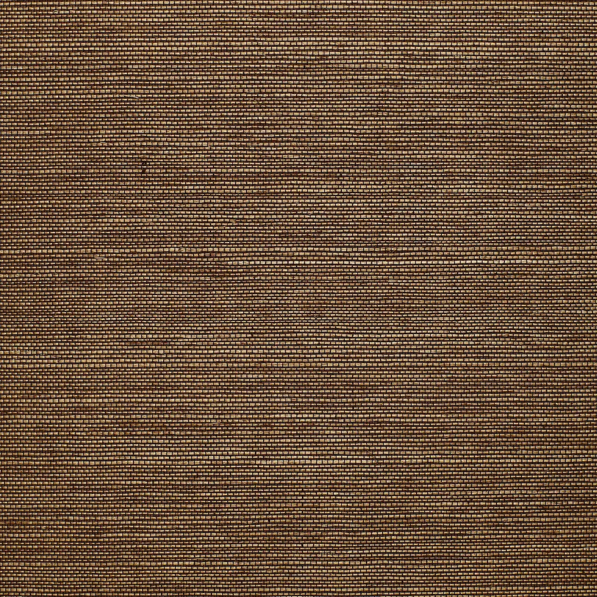 CELEBES SISAL