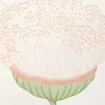 CELINDA BLUSH Schumacher Wallpaper wallpaper - SKU 5016360