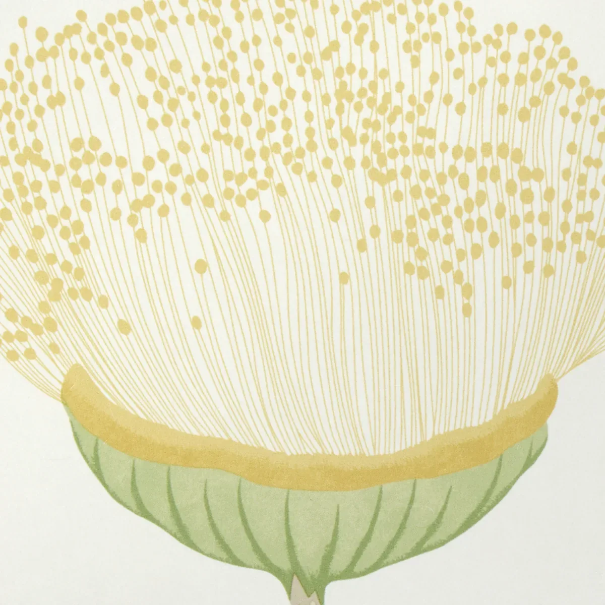 CELINDA CITRUS Schumacher Wallpaper wallpaper - SKU 5016362