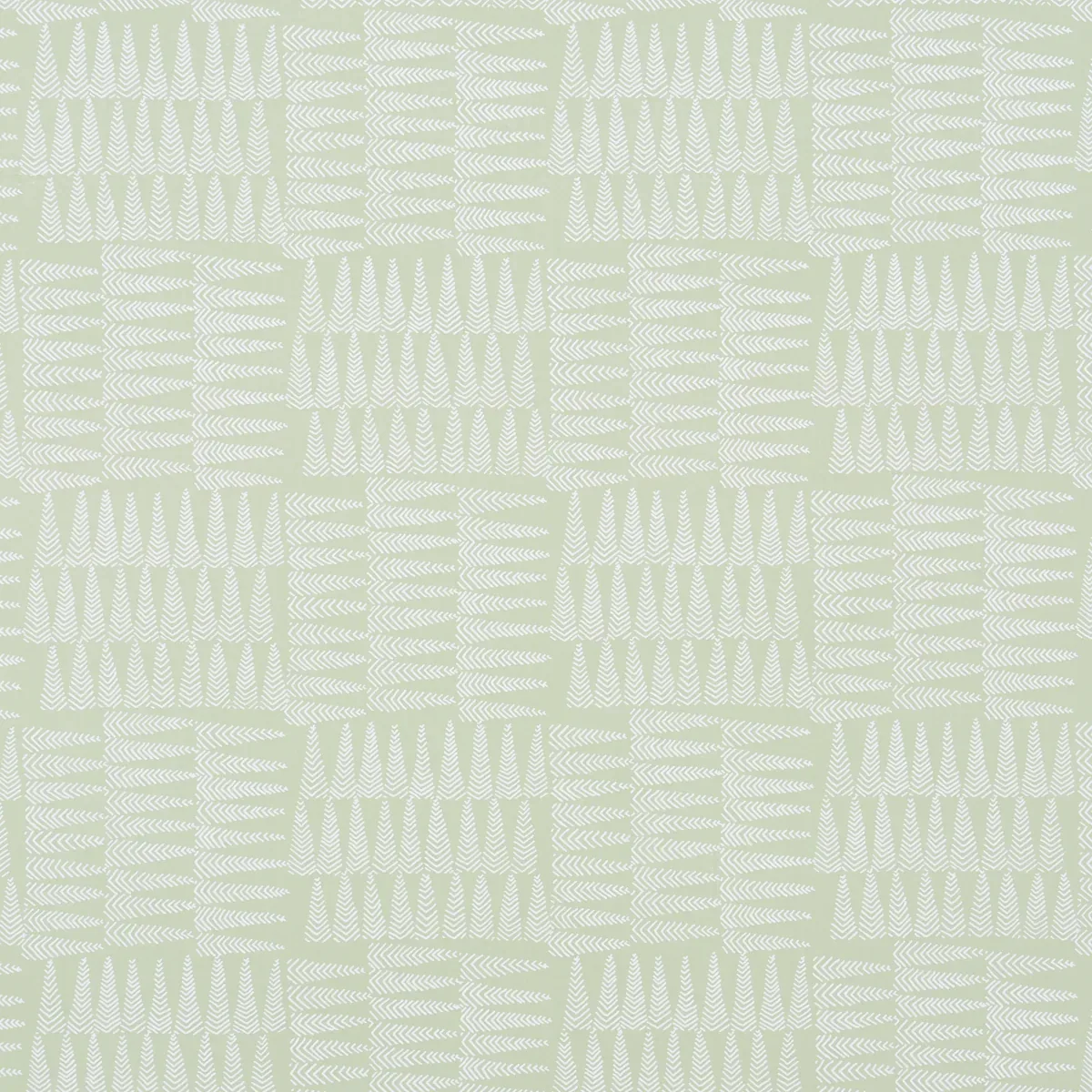 5013932 | CHARLIE – GREEN