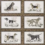 Schumacher CHASER’S LEGACY - BARK Wallpaper | Buy Online Schumacher CHASER’S LEGACY wallpaper, color BARK, SKU 5016081
