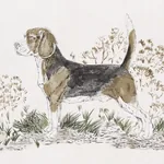 Schumacher CHASER’S LEGACY - BARK Wallpaper | Buy Online Schumacher CHASER’S LEGACY wallpaper, color BARK, SKU 5016081
