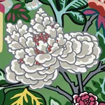 CHIANG MAI DRAGON - JADE Schumacher Wallpaper | Wallpaper Tw CHIANG MAI DRAGON JADE Schumacher Wallpaper wallpaper - SKU 5001067