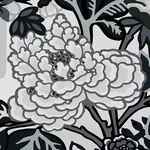 CHIANG MAI DRAGON - SMOKE Schumacher Wallpaper | Wallpaper T CHIANG MAI DRAGON SMOKE Schumacher Wallpaper wallpaper - SKU 5001066