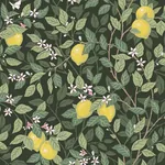 CITRONTRÄD - GREEN Schumacher Wallpaper | Wallpaper Twins CITRONTRÄD GREEN Schumacher Wallpaper wallpaper - SKU 5701