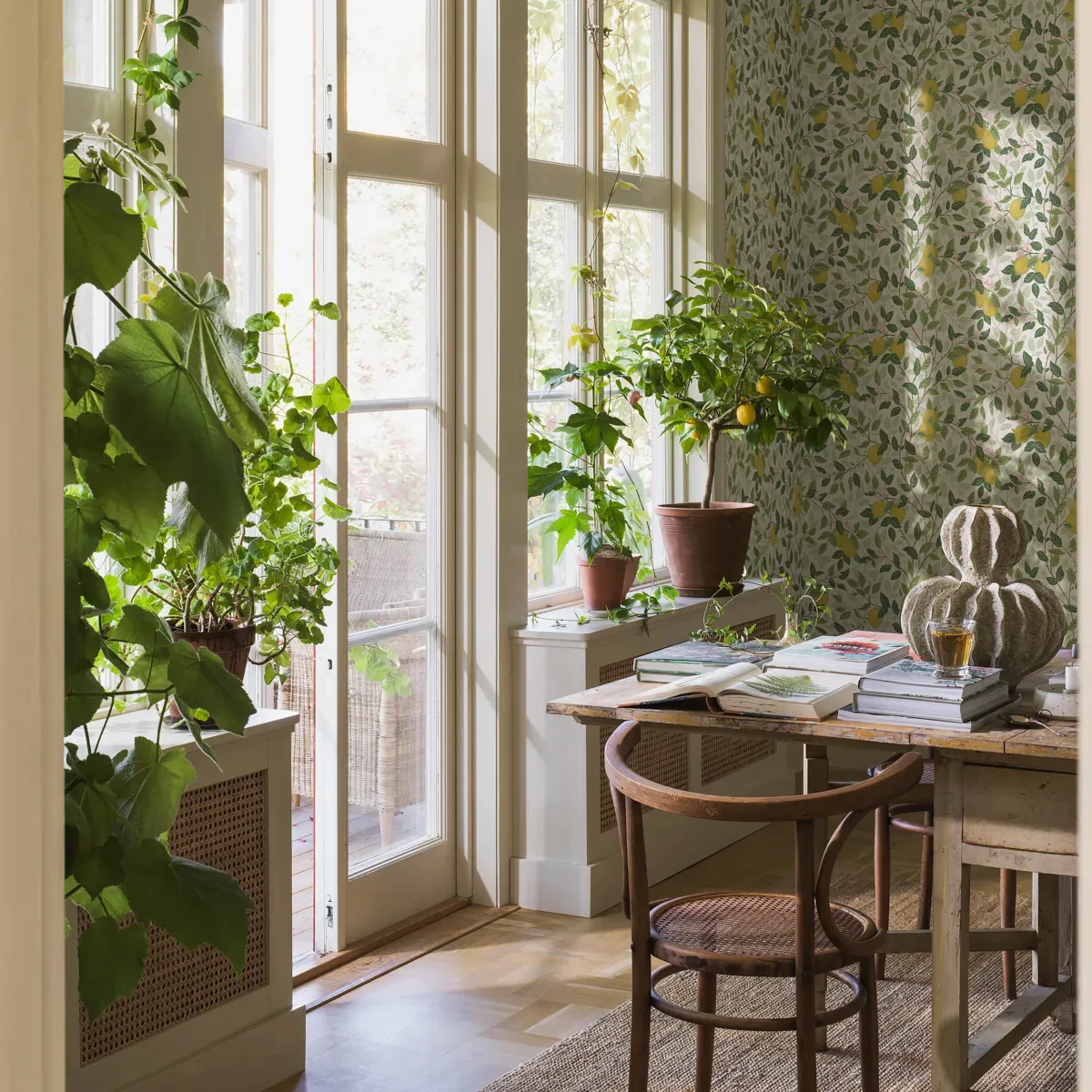 CITRONTRÄD room view