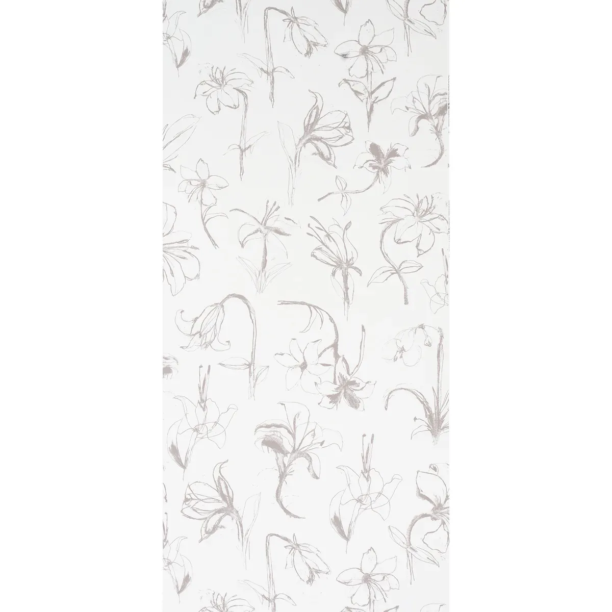 CLOSE YOUR EYES AND REMEMBER - SOFT BLACK Schumacher Wallpap CLOSE YOUR EYES AND REMEMBER SOFT BLACK Schumacher Wallpaper wallpaper - SKU 5014080