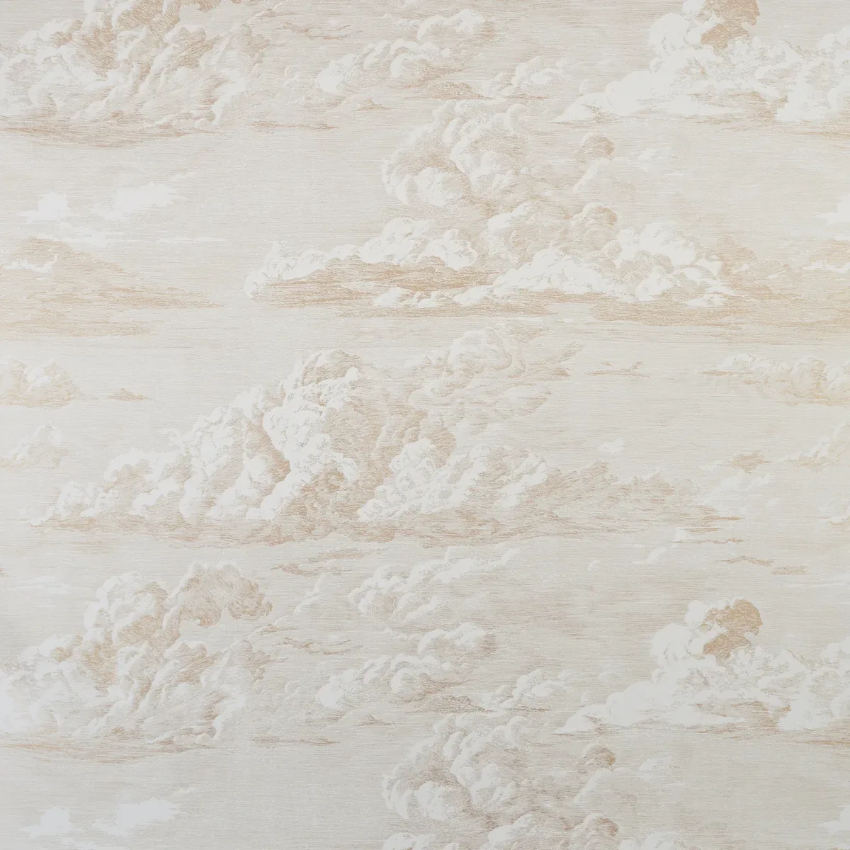 CLOUD TOILE