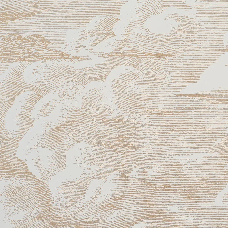 CLOUD TOILE room view