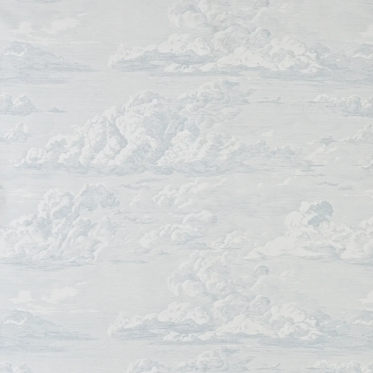CLOUD TOILE