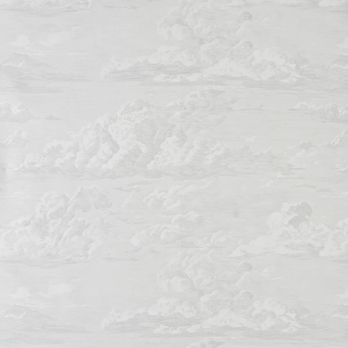 CLOUD TOILE