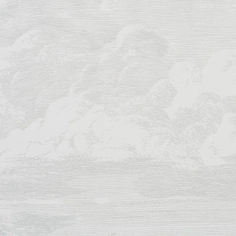 CLOUD TOILE room view