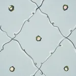 COLETTE AIR Schumacher Wallpaper wallpaper - SKU 5017372