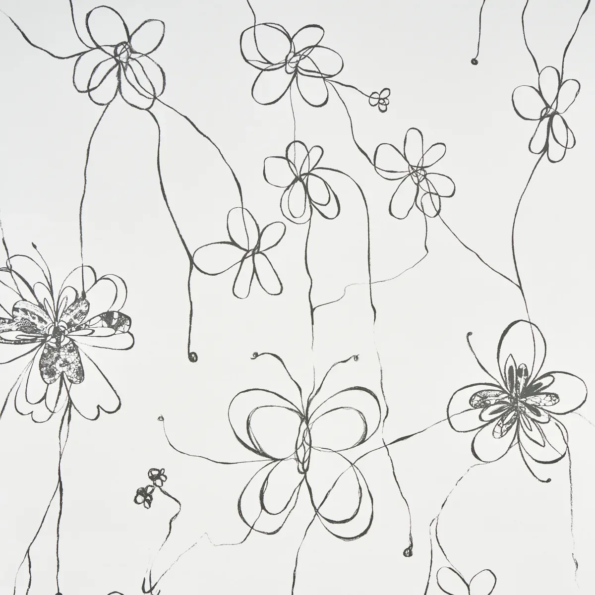 COME BACK AS A FLOWER SOFT BLACK Schumacher Wallpaper wallpaper - SKU 5014090