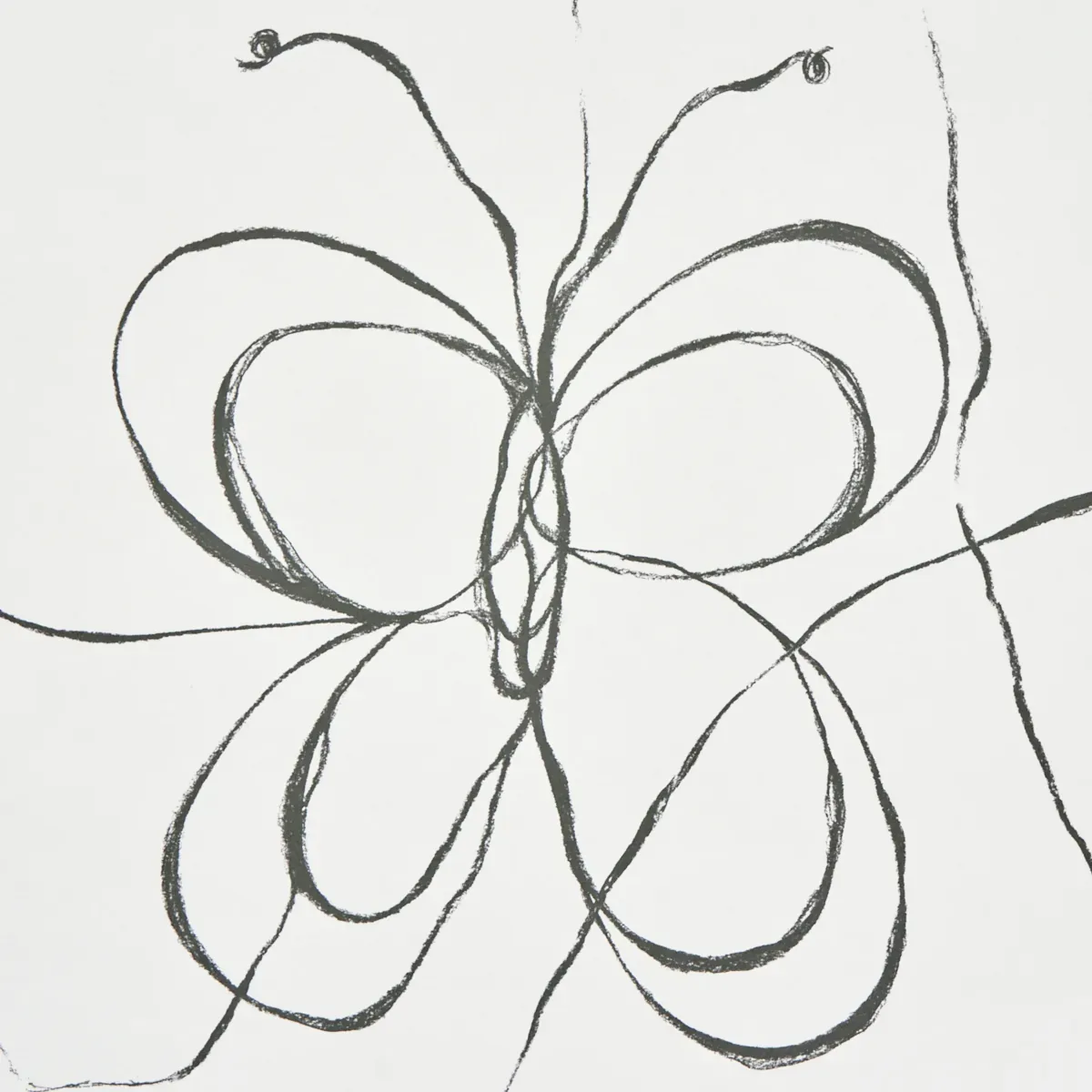COME BACK AS A FLOWER SOFT BLACK Schumacher Wallpaper wallpaper - SKU 5014090