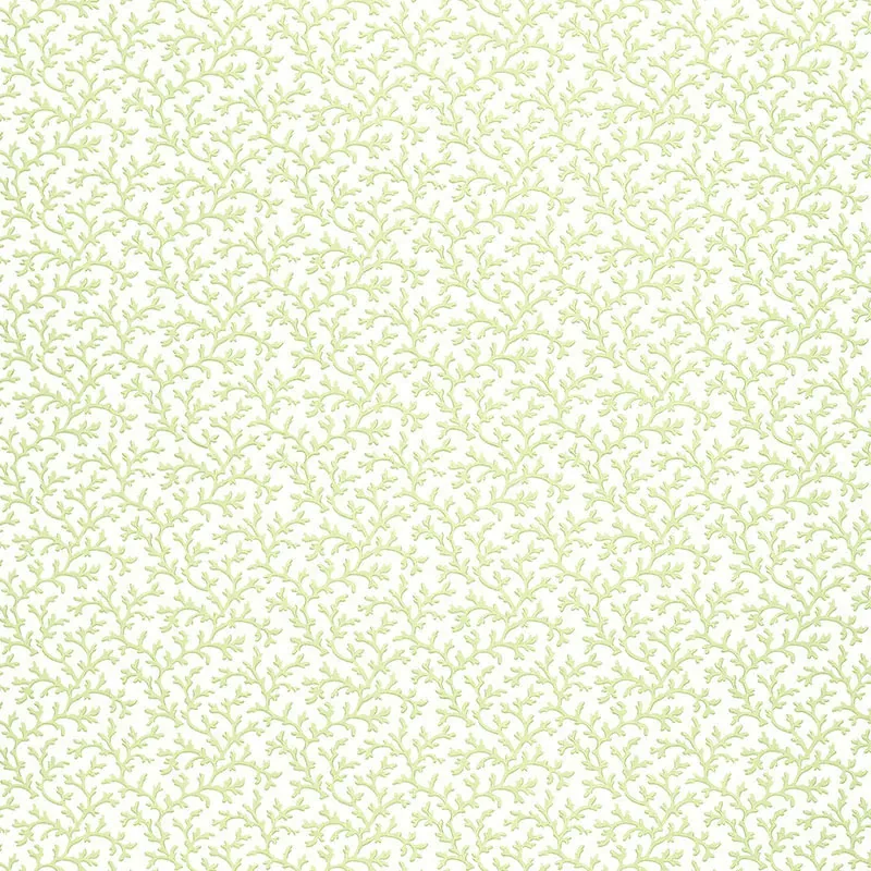 CORAL VINE